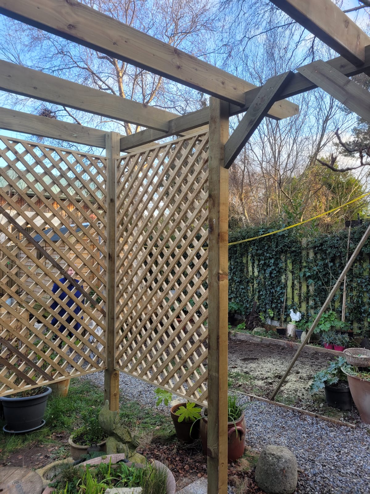 Lattice fence pergola in a garden with plants