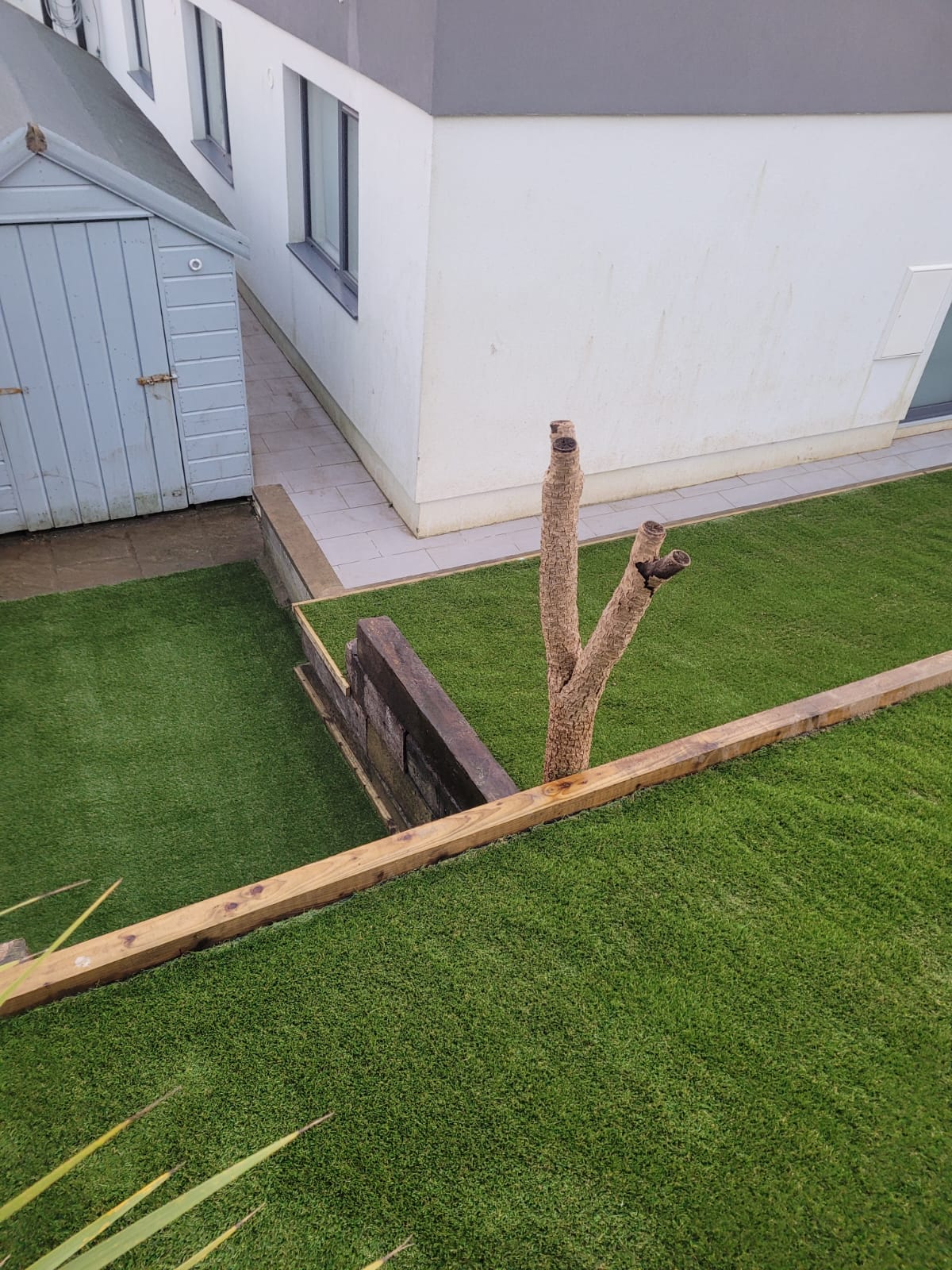 close up of artificial grass